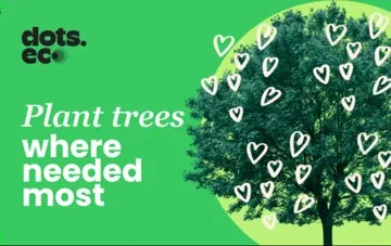 Plant a Tree